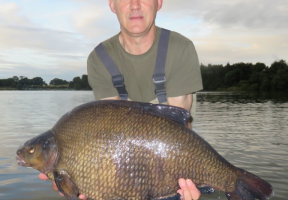 big bream.png